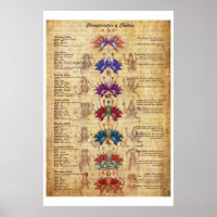 Caractéristiques de Chakras Yoga Art Imprimer