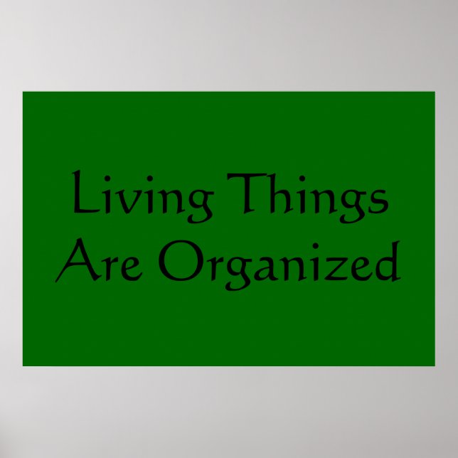 Poster Caractéristiques de la vie (Devant)