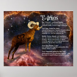 Poster Caractéristiques des baies