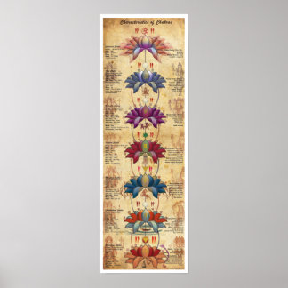 Poster Caractéristiques des chakras - Style contrastif