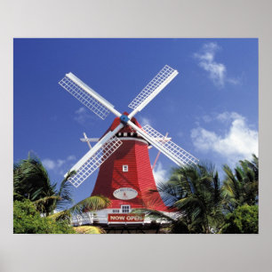 Poster Caraïbes, Aruba. Vieux Moulin, converti en 'Moulin