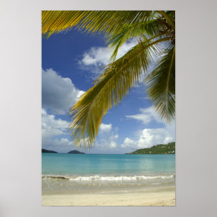 Poster Caraïbes, Îles Vierges des États-Unis, St.Thomas,