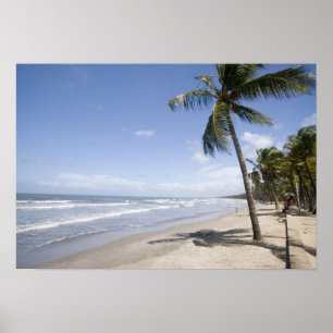 Poster Caraïbes - Trinité - Plage de Manzanilla sur 2