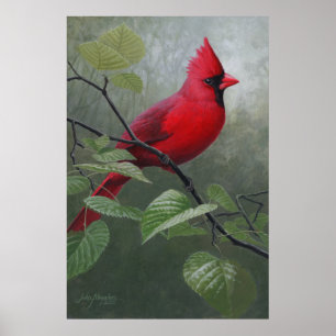 Poster Cardinal