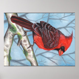 Poster cardinal