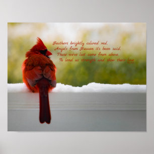 Poster Cardinal avec Visiteur du Ciel poème 14x11