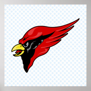 Poster Cardinal Careem