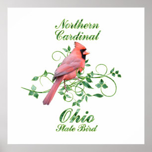 Poster Cardinal Ohio State Bird