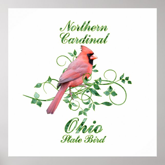 Poster Cardinal Ohio State Bird (Devant)