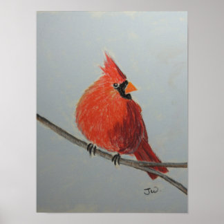 Poster Cardinal Rouge à la Branche de Pastels