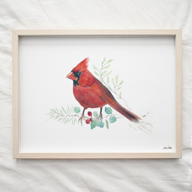 Poster Cardinal rouge Aquarelle (Créateur téléchargé)