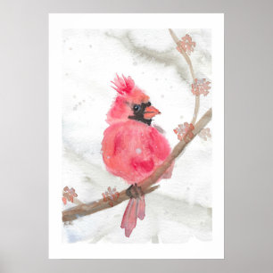 Poster Cardinal rouge en neige