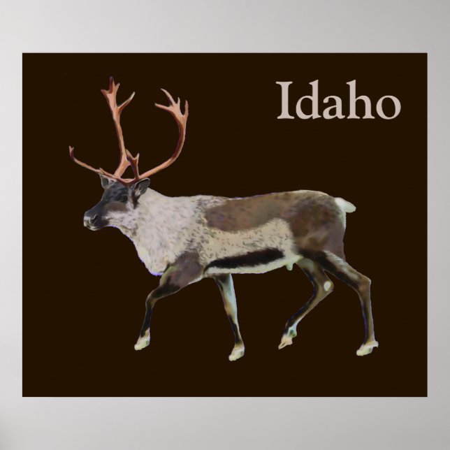 Poster Caribou des bois (Devant)