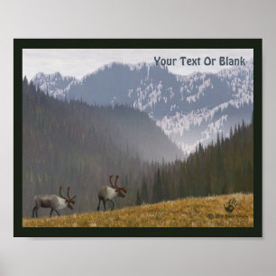 Poster Caribou deux
