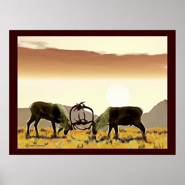 Poster Caribou Duel (Devant)