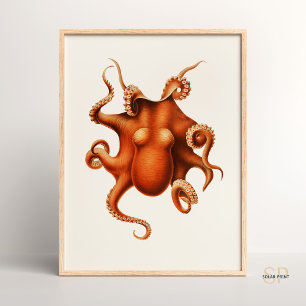 Poster Carl Chun Vintage Octopus Illustration Marine