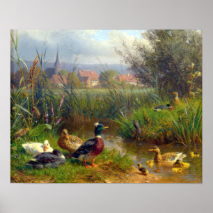 Poster Carl Jutz Ducks
