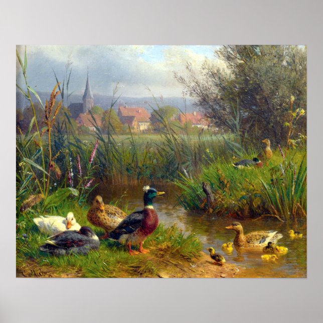 Poster Carl Jutz Ducks (Devant)