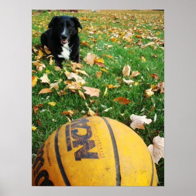 Poster Carlee (Devant)