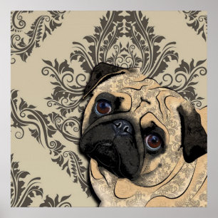 Poster Carlin Chien Abstrait Animaux de compagnie Motif I