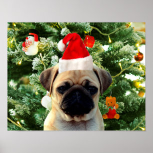 Poster Carlin Chien Chien Chien de Noël Arbre de Noël Orn