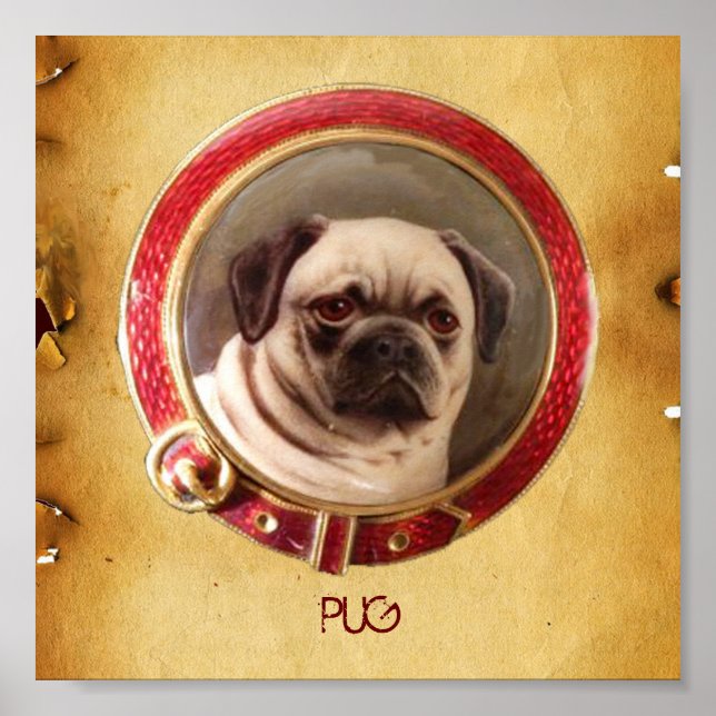 POSTER CARLIN DE PORTRAITS DE CHIEN DE MINIATURE VICTORIE (Devant)