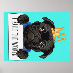 Poster Carlin Je Règle Le Monde Cadeau, Drôle Carlin Amou