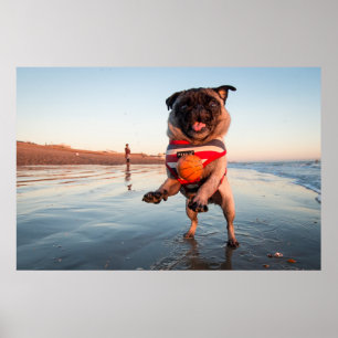 Poster Carlin jouant au bal sur la plage
