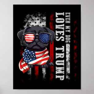 Poster Carlin noir même mon chien aime Trump drôle