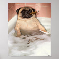 Carlin prendre bain bulle