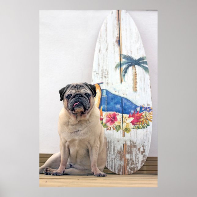 Poster Carlin surf (Devant)