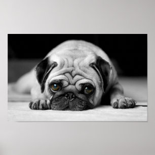 Poster Carlin triste