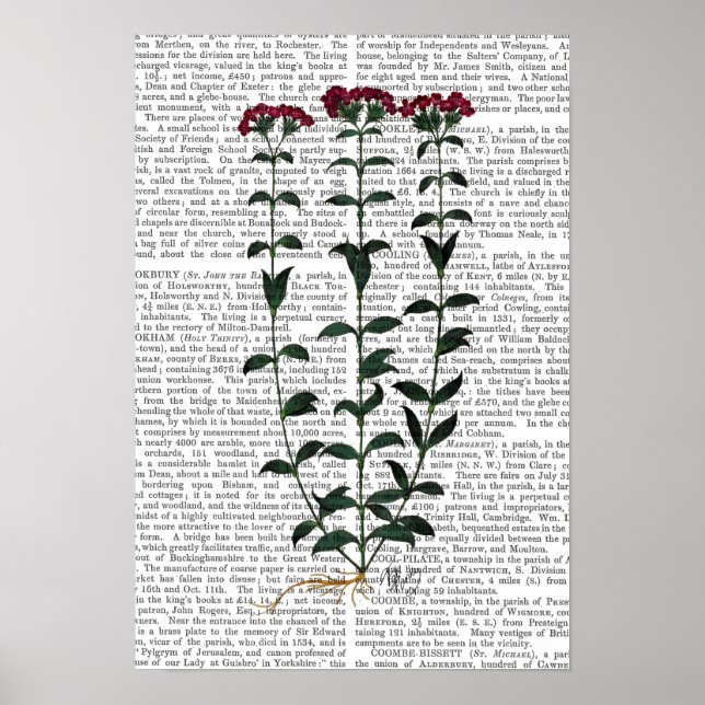 Poster Carnation italienne (Devant)