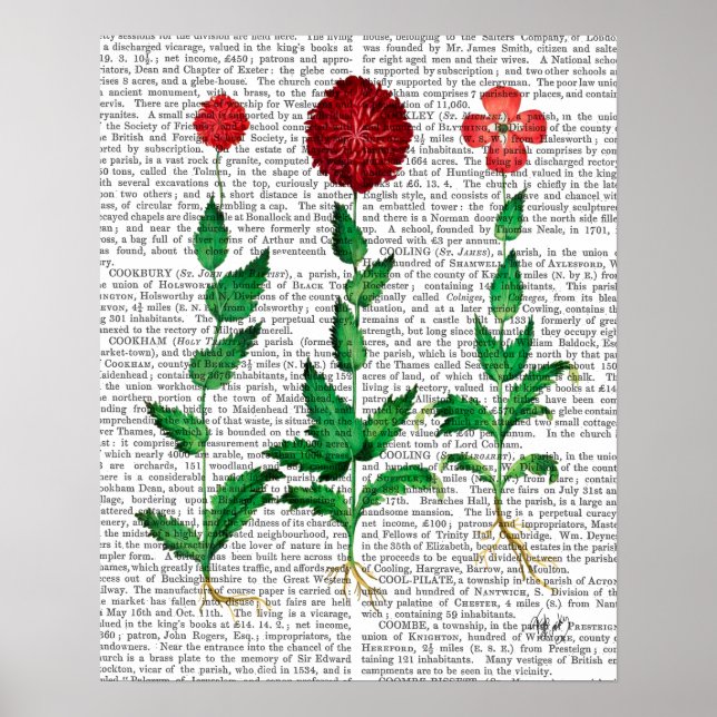 Poster Carnation italienne 2 (Devant)