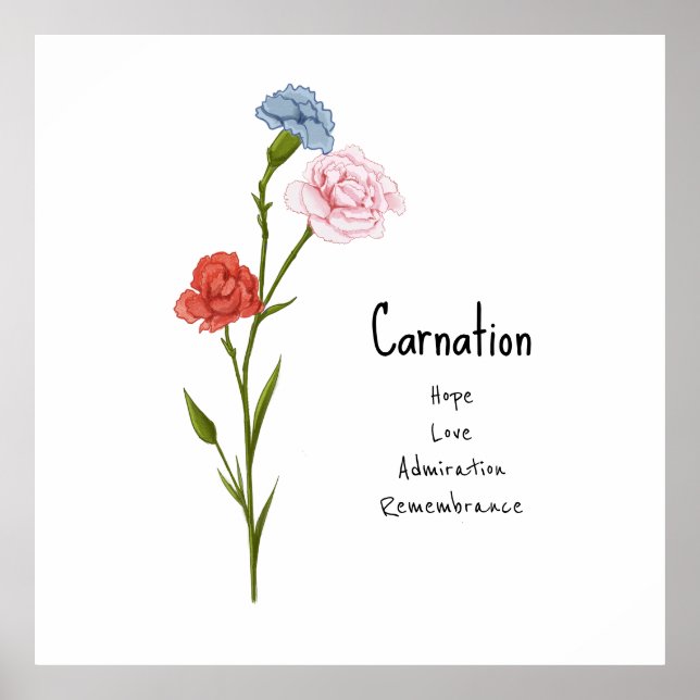 Poster Carnation Janvier Fleur de naissance aquarelle Art (Devant)