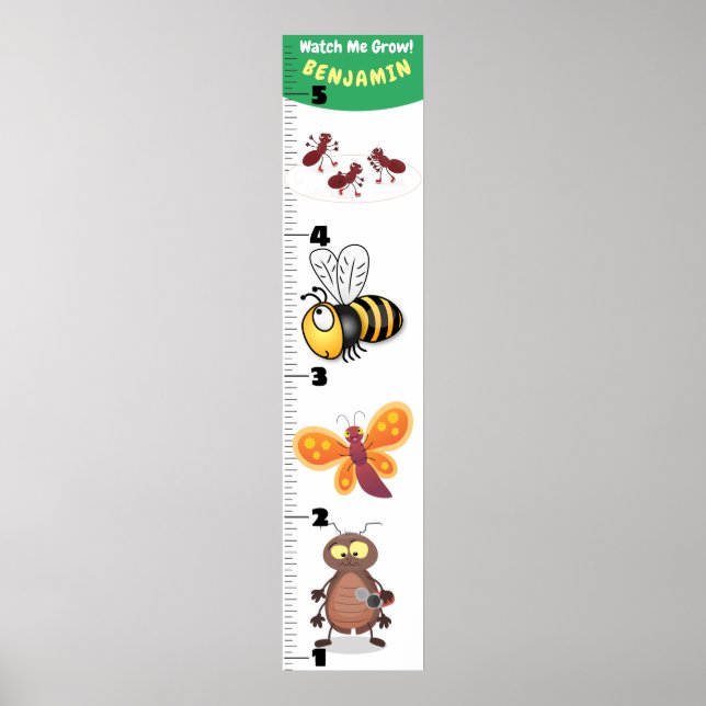 Poster Carnet de croissance des insectes amusants (Devant)