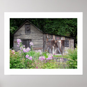 Poster Carolina Cabine