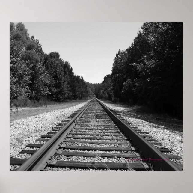 Poster Carolina Trails (Devant)