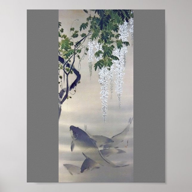 Poster Carpe et Wisteria blanche, Watanabe Seitei (Devant)