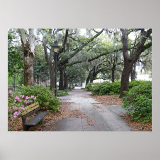 Poster Carré de Reynolds, Savannah Géorgie