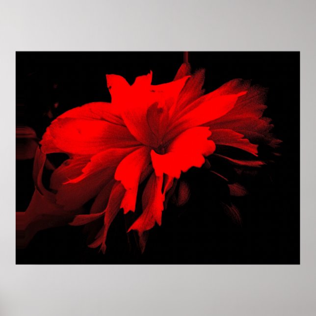 Poster carrousel 2 (Devant)