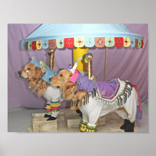 Poster Carrousel Golden Retriever