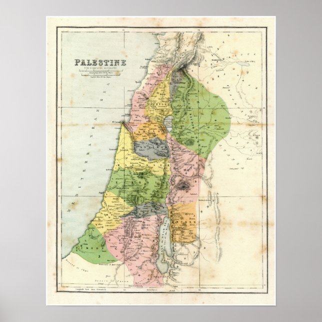 Poster Carte antique - Palestine biblique (Devant)