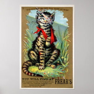 Poster Carte de commerce pour chats Frears #6 (sur 6)