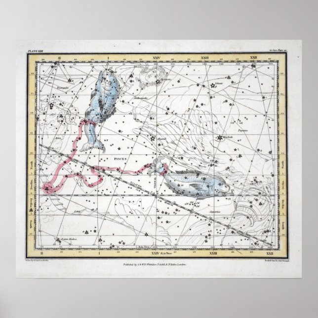 Poster Carte de la plaque de constellations XXII (Devant)