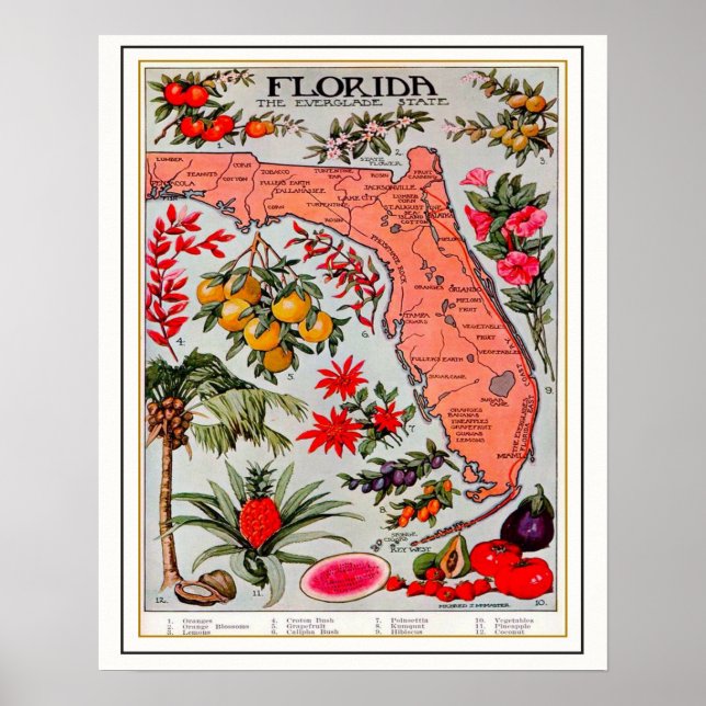 Poster Carte de la prime de la Floride 16x20 (Devant)