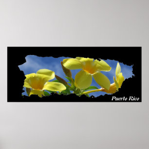 Poster Carte de l'île aux fleurs jaunes de Porto Rico