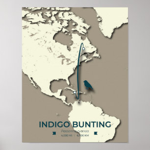 Poster Carte de migration de Bunting Indigo - Vintage min