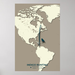 Poster Carte de migration de Bunting Indigo - Vintage min