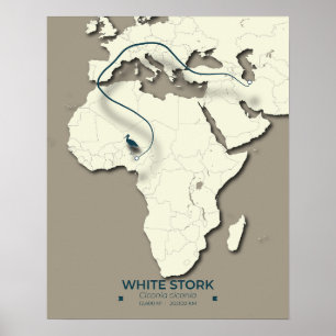 Poster Carte de migration de la cigogne blanche - Bir Vin